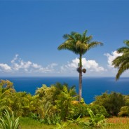 Desktops: Maui