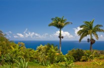 Desktops: Maui