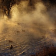 Desktops: Rivermist