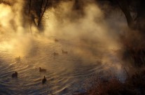 Desktops: Rivermist