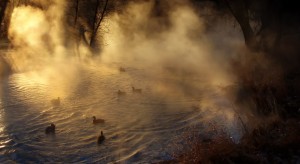 rivermist rivermist