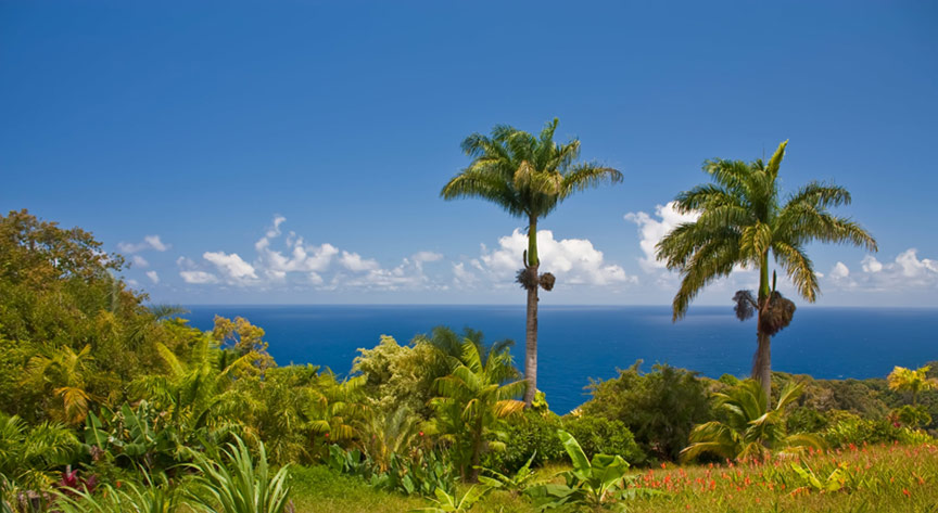 store-maui Maui, Hawaii